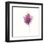 Expressive Blooms I-June Vess-Framed Art Print