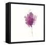 Expressive Blooms I-June Vess-Framed Stretched Canvas