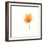 Expressive Blooms IX-June Vess-Framed Art Print