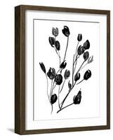 Expressive Floral II-Melissa Wang-Framed Art Print