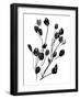 Expressive Floral II-Melissa Wang-Framed Art Print