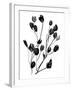 Expressive Floral II-Melissa Wang-Framed Art Print