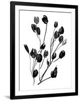 Expressive Floral II-Melissa Wang-Framed Art Print