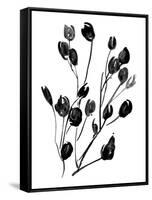 Expressive Floral II-Melissa Wang-Framed Stretched Canvas