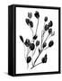 Expressive Floral II-Melissa Wang-Framed Stretched Canvas