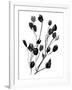 Expressive Floral II-Melissa Wang-Framed Art Print