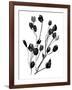 Expressive Floral II-Melissa Wang-Framed Art Print