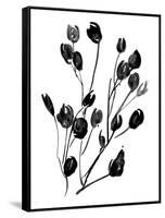 Expressive Floral II-Melissa Wang-Framed Stretched Canvas