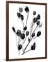 Expressive Floral II-Melissa Wang-Framed Art Print