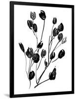 Expressive Floral II-Melissa Wang-Framed Art Print