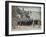 Expulsion of the Jesuits-null-Framed Giclee Print