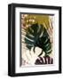 Exsposure 1-Ian Winstanley-Framed Art Print