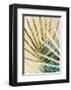 Exsposure 8-Ian Winstanley-Framed Art Print