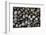 Extatosoma Tiaratum (Giant Prickly Stick Insect) - Eggs-Paul Starosta-Framed Photographic Print