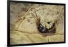 Extatosoma Tiaratum (Giant Prickly Stick Insect) - Hatching-Paul Starosta-Framed Photographic Print