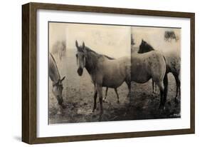 Extension of a Horse-Casey Mckee-Framed Art Print