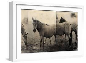 Extension of a Horse-Casey Mckee-Framed Art Print