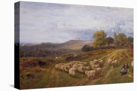 Extensive Landscape with a Shepherd and his Flock of Sheep, Surrey-George Shalders-Stretched Canvas