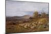 Extensive Landscape with a Shepherd and his Flock of Sheep, Surrey-George Shalders-Mounted Giclee Print