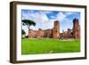 Exterior, Baths of Caracalla, UNESCO World Heritage Site, Rome, Latium (Lazio), Italy, Europe-Nico Tondini-Framed Photographic Print