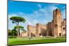 Exterior, Baths of Caracalla, UNESCO World Heritage Site, Rome, Latium (Lazio), Italy, Europe-Nico Tondini-Mounted Photographic Print