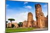 Exterior, Baths of Caracalla, UNESCO World Heritage Site, Rome, Latium (Lazio), Italy, Europe-Nico Tondini-Mounted Photographic Print