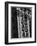 Exterior Detail of the Potter Building-Karen Tweedy-Holmes-Framed Photographic Print