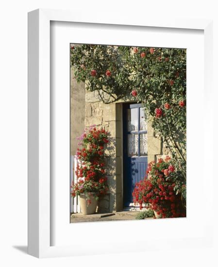 Exterior of a Blue Door Surrounded by Red Flowers, Roses and Geraniums, St. Cado, Brittany, France-Ruth Tomlinson-Framed Photographic Print