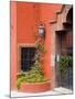 Exterior of a House, San Miguel, Guanajuato State, Mexico-Julie Eggers-Mounted Photographic Print