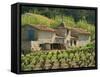 Exterior of a Stone Farmhouse in Vineyard Near Pierrefeu, Var, Provence, France, Europe-Michael Busselle-Framed Stretched Canvas