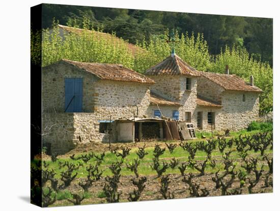 Exterior of a Stone Farmhouse in Vineyard Near Pierrefeu, Var, Provence, France, Europe-Michael Busselle-Stretched Canvas