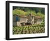 Exterior of a Stone Farmhouse in Vineyard Near Pierrefeu, Var, Provence, France, Europe-Michael Busselle-Framed Photographic Print