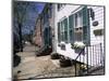 Exterior of Houses on a Typical Street, Annapolis, Maryland, USA-I Vanderharst-Mounted Photographic Print