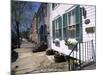 Exterior of Houses on a Typical Street, Annapolis, Maryland, USA-I Vanderharst-Mounted Photographic Print