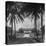 Exterior of Mansion on the Island of Martinique-David Scherman-Stretched Canvas