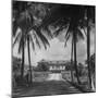 Exterior of Mansion on the Island of Martinique-David Scherman-Mounted Premium Photographic Print