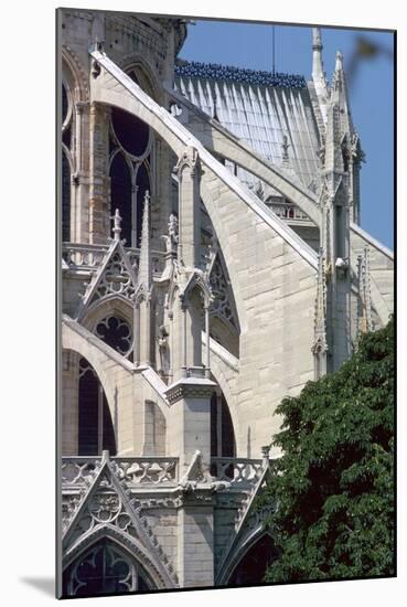 Exterior of Notre Dame, Paris, France, 14th Century-CM Dixon-Mounted Photographic Print