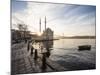 Exterior of Ortakoy Mosque and Bosphorus Bridge at Dawn, Ortakoy, Istanbul, Turkey-Ben Pipe-Mounted Photographic Print
