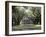 Exterior of Plantation Home, Oak Alley, New Orleans, Louisiana, USA-Adina Tovy-Framed Photographic Print