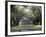 Exterior of Plantation Home, Oak Alley, New Orleans, Louisiana, USA-Adina Tovy-Framed Photographic Print