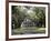 Exterior of Plantation Home, Oak Alley, New Orleans, Louisiana, USA-Adina Tovy-Framed Photographic Print