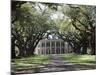 Exterior of Plantation Home, Oak Alley, New Orleans, Louisiana, USA-Adina Tovy-Mounted Photographic Print