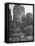 Exterior of the Blarney Castle-null-Framed Stretched Canvas