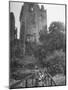 Exterior of the Blarney Castle-null-Mounted Photographic Print
