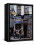 Exterior of the Bulldog Coffee Shop, Amsterdam, the Netherlands (Holland)-Richard Nebesky-Framed Stretched Canvas