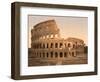 Exterior of the Coliseum, Rome, Italy, c.1890-c.1900-null-Framed Photographic Print