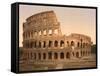 Exterior of the Coliseum, Rome, Italy, c.1890-c.1900-null-Framed Stretched Canvas