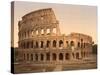 Exterior of the Coliseum, Rome, Italy, c.1890-c.1900-null-Stretched Canvas