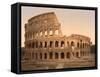 Exterior of the Coliseum, Rome, Italy, c.1890-c.1900-null-Framed Stretched Canvas