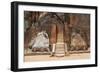 Exterior of the Entrance to the Sigiriya Lion Rock Fortress in Sigiriya, Sri Lanka. Sigiriya is Lis-Dmitry Chulov-Framed Photographic Print